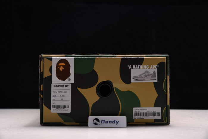 BAPE Shoe