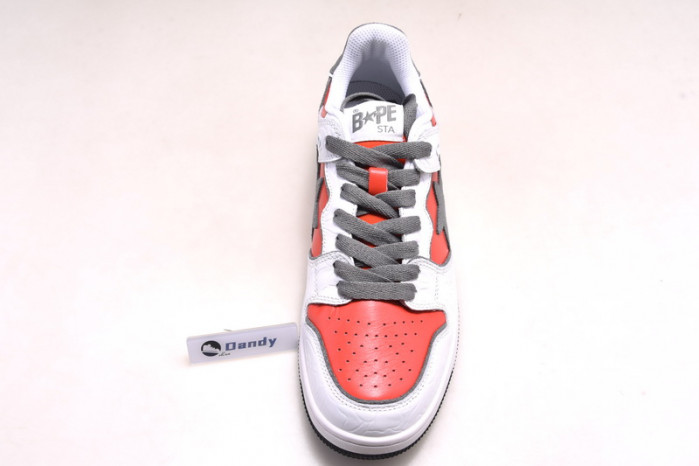 BAPE Shoe